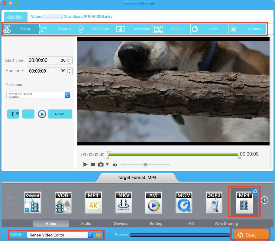 يقوم برنامج Renee Video Editor Mac بتصدير ملفات الفيديو MP4 المحولة