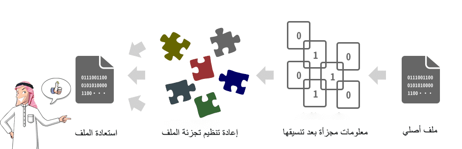 مبدأ استعادة البيانات المنسقة