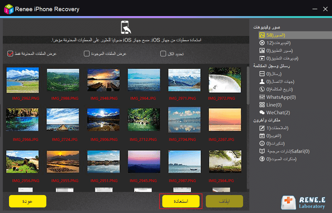 حدد الملفات التي سيتم استردادها في Renee iPhone Recovery