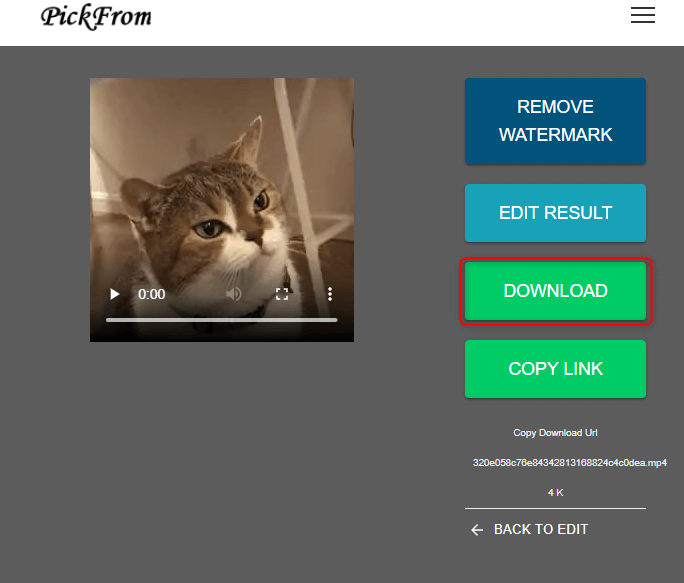 كيفية تحويل gif إلى mp4 على بيكفروم